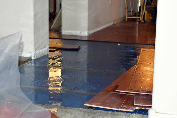 Professional Water Damage Restoration technician working in Adrian, MI